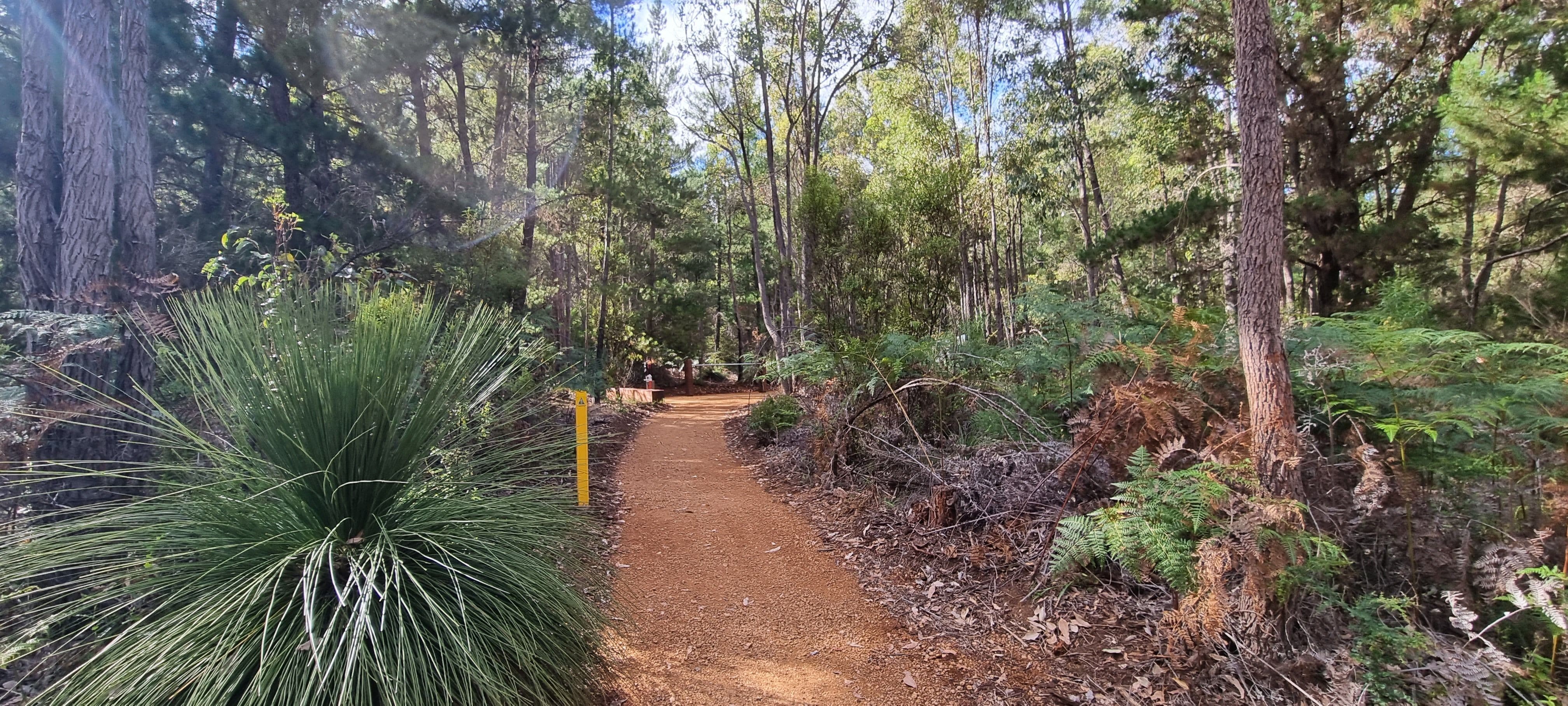 Trail head path